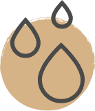 Critical care hospital Adyar