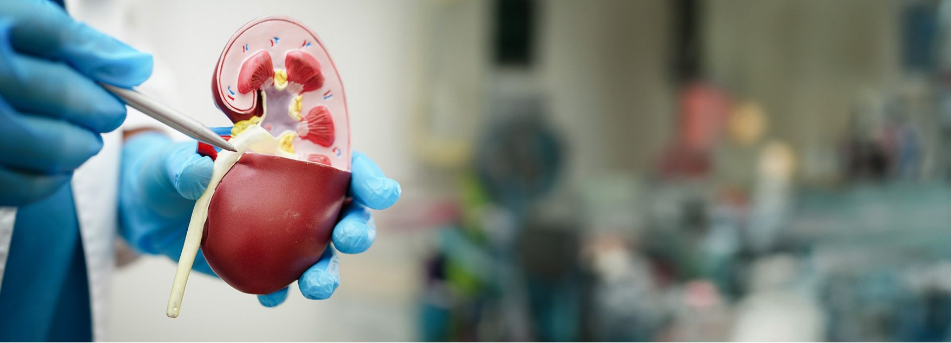 best organ-transplant in adyar