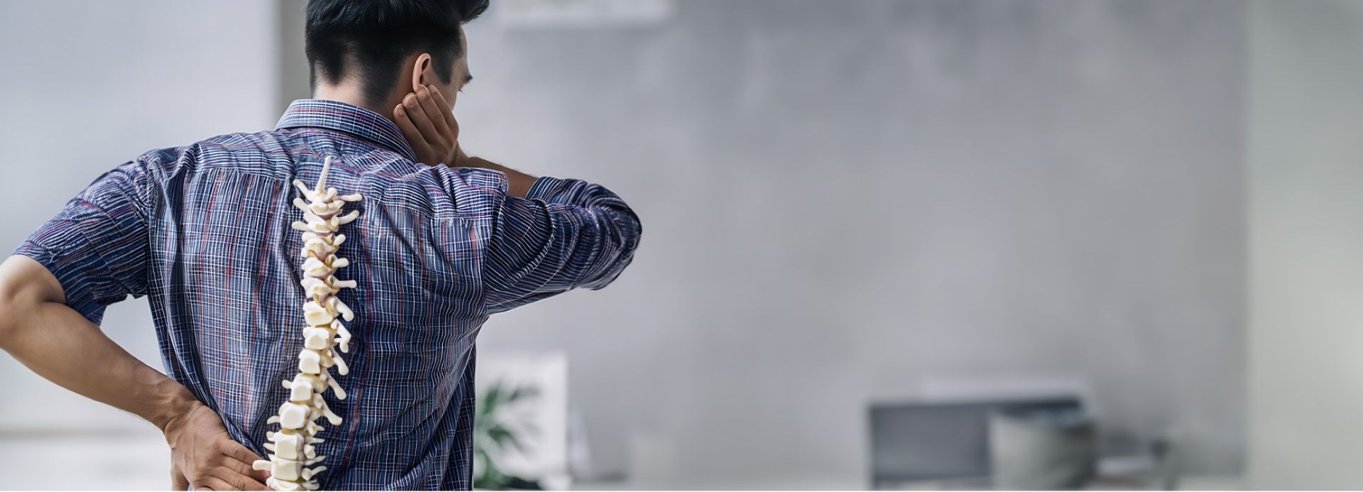 best organ-transplant in adyar